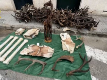 espana/andalucia/cadiz/20260307/guardia-civil-confisca-numerosas-piezas-especies-protegidas-africa-ocultas-furgoneta_393246