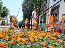 espana/la-voz-de-cordoba/sociedad/20260308/marzo-cordobes-lleva-tonelada-naranja-amarga-recolectada_393506