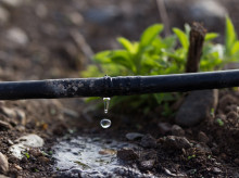 sociedad/sociedad-medio-ambiente/20260310/espana-impulsa-reutilizacion-agua-19-nuevas-obras-regadio-beneficiaran-63000-hectareas_394378