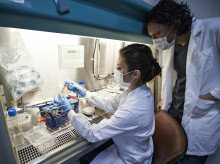 sociedad/20260330/dos-modelos-empleados-dia-dia-podrian-ayudar-predecir-tumores-comunes_397937