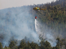 espana/castilla-y-leon/20260324/gobierno-manueco-pide-colaboracion-ciudadana-dar-autores-ultimos-incendios-leon_399646