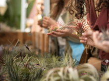 espana/cataluna/barcelona/20260401/flors-mercat-llena-verde-primavera-barcelona_400362