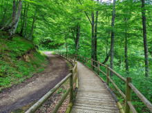 estilo-vida/viajar/20260330/ruta-senderismo-espana-perfecta-esta-primavera-hayedo-increible-cascada-100-metros_400913