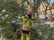 sociedad/sociedad-medio-ambiente/20260330/siete-comunidades-bajo-aviso-olas-viento-polvo-suspension-tres-naranja_401575