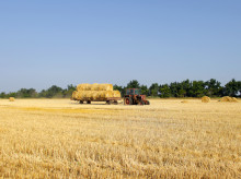 espana/castilla-y-leon/20260402/ayudas-castilla-leon-frente-conflicto-oriente-medio-detalle-incluyen-quien-dirigidas_401412