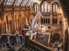 cultura/20260820/museo-historia-natural-londres-reabre-galeria-cerrada-desde-segunda-guerra-mundial_450822