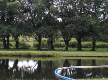 espana/galicia/20260415/entre-panico-me-deshice-cadaver-confiesa-amigo-investigado-muerte-hombre-abadin_407003