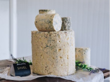 espana/galicia/20260416/galicia-conquista-mayor-campeonato-quesos-espana-nueve-medallas-dos-aspirantes-mejor-pais_407121