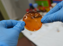 sociedad/sociedad-medio-ambiente/20260418/inventan-membrana-clave-aumenta-casi-10-purificacion-hidrogeno_408338