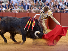 cultura/20260418/borja-jimenez-pierde-espada-habia-ganado-natural_408428