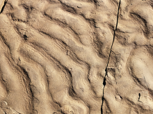 ciencia/20260420/investigan-desierto-marruecos-encuentran-estructuras-arrugadas-inusuales_408967