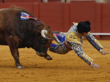 cultura/20260421/cornada-morante-proximas-72-horas-seran-decisivas_409224