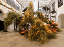 espana/la-voz-de-cordoba/cultura/20260421/flora-convoca-sexto-ano-patio-talento-cordoba_409143