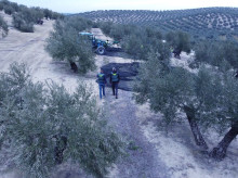 espana/la-voz-de-cordoba/actualidad/20260421/guardia-civil-esclarece-robo-casi-2000-kilos-aceituna-montoro_409217