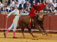 cultura/20260421/me-gusta-daniel-luque-toros-complicados_409324