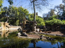 espana/comunidad-valenciana/20260422/bioparc-apela-poder-personas-proteger-planeta-dia-tierra_409525