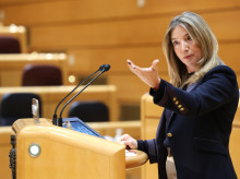 espana/20260422/pp-activa-senado-choque-institucional-enmiendas-migratorias-directo_409520