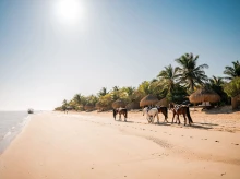 estilo-vida/viajar/20260423/archipielago-secreto-indico-dunas-gigantes-playas-vacias-compite-maldivas-seychelles_409854