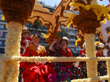 espana/la-voz-de-cordoba/sociedad/20260426/batalla-flores-guerra-80000-claveles-imagenes_411156