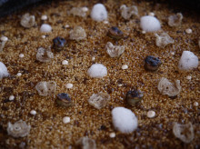 espana/comunidad-valenciana/20260427/valencia-encumbra-arrocero-futuro-2026-cocina-madrid-paella-careta-morro-oreja-cerdo_411238