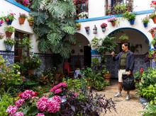 espana/la-voz-de-cordoba/actualidad/20260514/crecen-visitas-patio-cordoba-espera-ultimo-fin-semana_417559