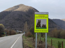 espana/castilla-y-leon/20260509/castilla-leon-refuerza-seguridad-vial-comarca-laciana-evitar-atropello-osos_415911