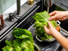 salud-y-bienestar/bienestar/alimentacion/20260512/sencillo-metodo-conservar-lechuga-evitar-bacterias_416164