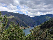 sociedad/sociedad-medio-ambiente/20260512/embalses-continuan-ascenso-encuentran-839-capacidad_416751