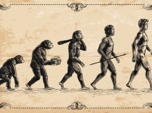 salud-y-bienestar/bienestar/20260519/casi-todos-humanos-somos-diestros-respuesta-apunta-ciencia_418679