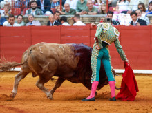 espana/la-voz-de-cordoba/cultura/20260523/tarde-no_420762