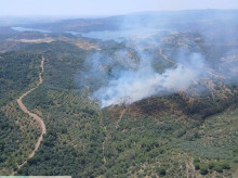 espana/la-voz-de-cordoba/actualidad/20260523/declarado-incendio-forestal-adamuz-necesitado-refuerzos_420867