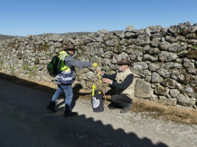 espana/castilla-y-leon/20260523/proyecto-marcar-senalizar-caminar-mejora-orientacion-seguridad-peregrinos-provincia-salamanca_420880