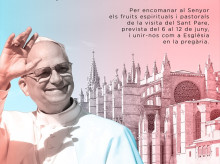 espana/baleares/20260527/obispo-mallorca-suma-despliegue-visita-leon-xiv-misa-catedral_422402