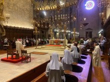 espana/baleares/20260529/taltavull-reune-fieles-catedral-palma-visita-leon-xiv_423050