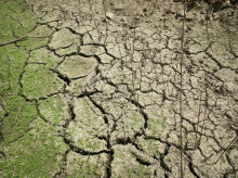 sociedad/sociedad-medio-ambiente/20260604/espana-entra-deficit-ecologico-consumido-todos-recursos-naturales-le-corresponden-este-ano_425023