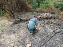 espana/la-voz-de-cordoba/actualidad/20260604/imputado-provocar-incendio-forestal-castro-rio-quemar-restos-vegetales-autorizacion_425065
