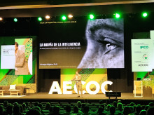 espana/comunidad-valenciana/20260604/igp-citricos-valencianos-reivindica-origen-como-principal-argumento-llegar-consumidor_425125