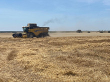 espana/la-voz-de-cordoba/economia/20260605/asaja-cordoba-alerta-campana-cereales-debajo-previsto-pese-abundante-lluvia_425551