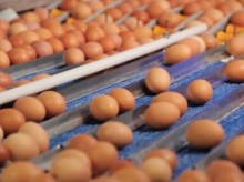 campo-y-caza/20260606/agroalimentaria-navarra-agotzaina-supera-1000-millones-euros-facturacion_425932