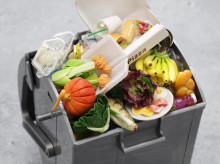 espana/galicia/20260609/galicia-lanza-web-vender-alimentos-imperfectos-evitar-desperdicio_426637