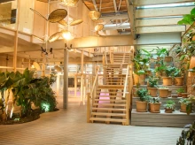 espana/madrid/20260609/guarderia-plantas-abre-puertas-barrio-delicias-madrid_426792