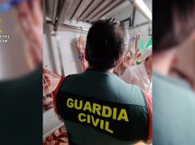 espana/castilla-la-mancha/20260619/guardia-civil-halla-sala-sacrificio-ilegal-mazarambroz-toledo-228-animales-sacrificados_430410