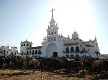 espana/andalucia/20260625/vuelve-tradiciones-ancestrales-almonte-saca-yeguas_432686