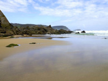 espana/galicia/20260817/playa-galicia-donde-brotan-enigmaticos-ojos-sapo-esconde-misterio-vikingo_439376