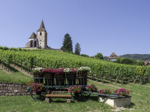 estilo-vida/viajar/20260817/ruta-vino-alguno-pueblos-paisajes-bonitos-francia_440093