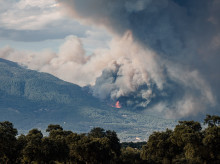 espana/20260725/gobierno-amplia-emergencia-nacional-incendios-provincia-toledo_443697
