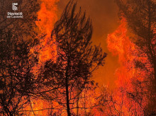 espana/20260727/imagenes-consorcio-bomberos-castellon-trabajando-incendio-vall-duixo_443882