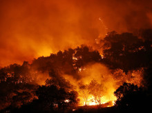 sociedad/sociedad-medio-ambiente/20260730/gobiernocifra-180000-hectareas-quemadas-espana-38-grandes-incendios-2026_445401