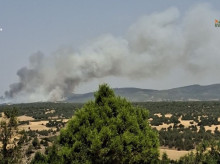 espana/castilla-la-mancha/20260727/incendio-selas-queda-totalmente-extinguido-2800-hectareas-quemadas-seis-pueblos-evacuados_443964