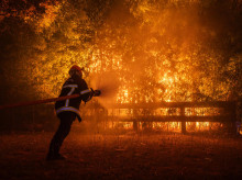 sociedad/sociedad-medio-ambiente/20260727/alla-cambio-climatico-estulticia_444039